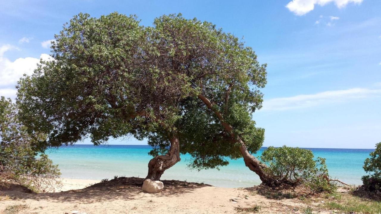 Anna'S House Near The Sandy Beach And With Wifi อาโวลา ภายนอก รูปภาพ